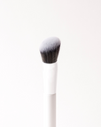 Perfect Blending Brush C01