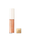 Teint Idole Ultra Wear Care & Glow Serum Concealer