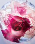 La Vie Est Belle Rose Extraordinaire EDP