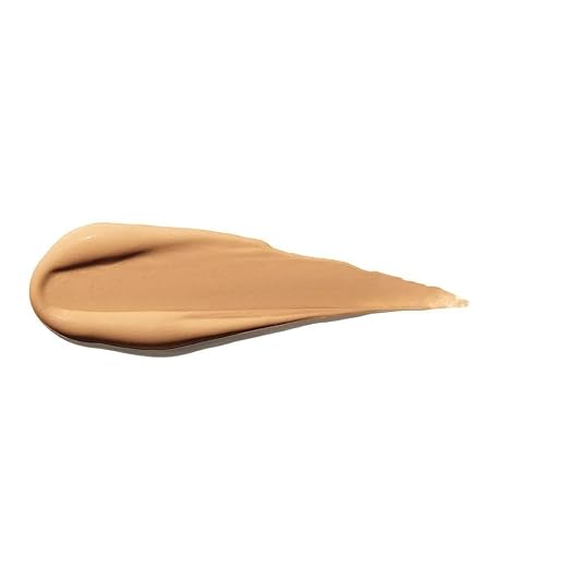 Shiseido Dual Tip Concealer