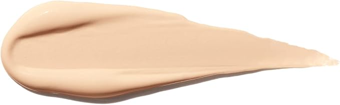 Shiseido Dual Tip Concealer