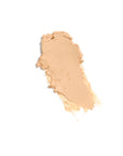 Melt Stick Conceal & Contour