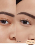 Shiseido Dual Tip Concealer