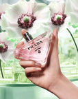 Paradoxe Virtual Flower