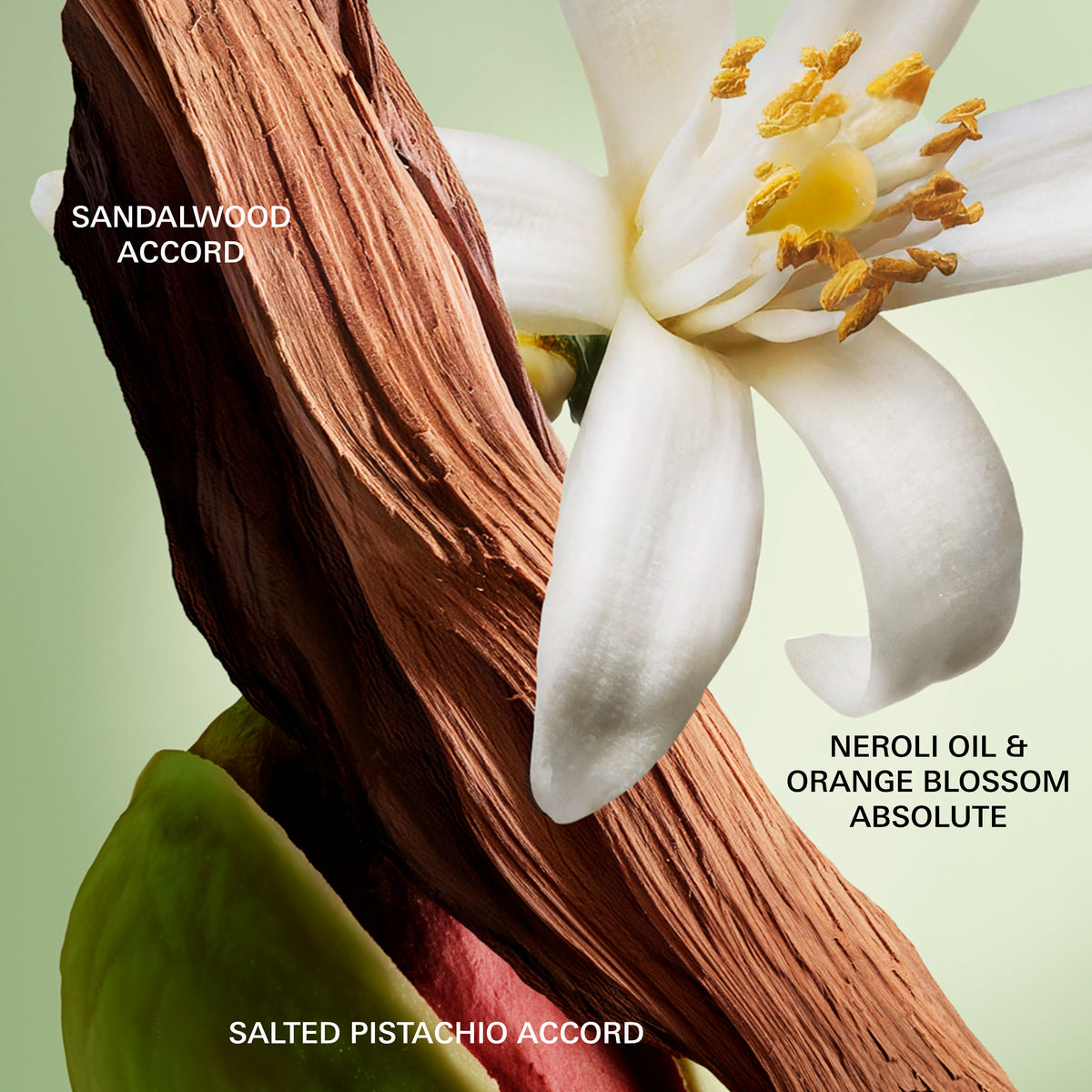 Paradoxe Essence Parfum