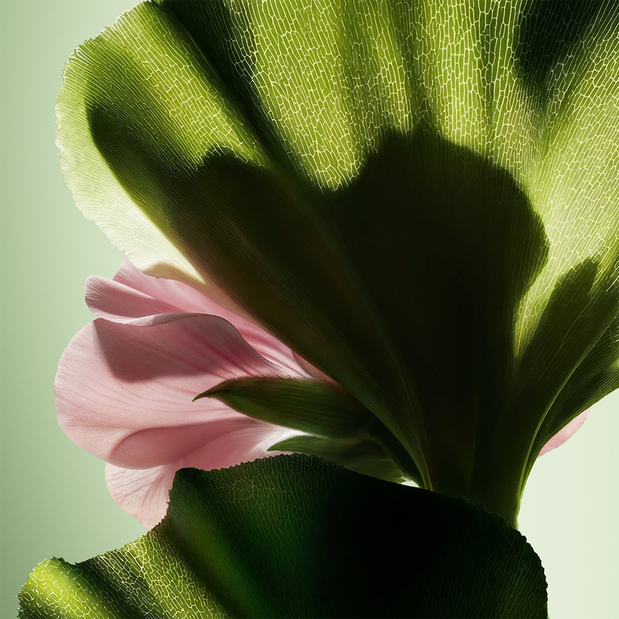 Paradigme Le Parfum