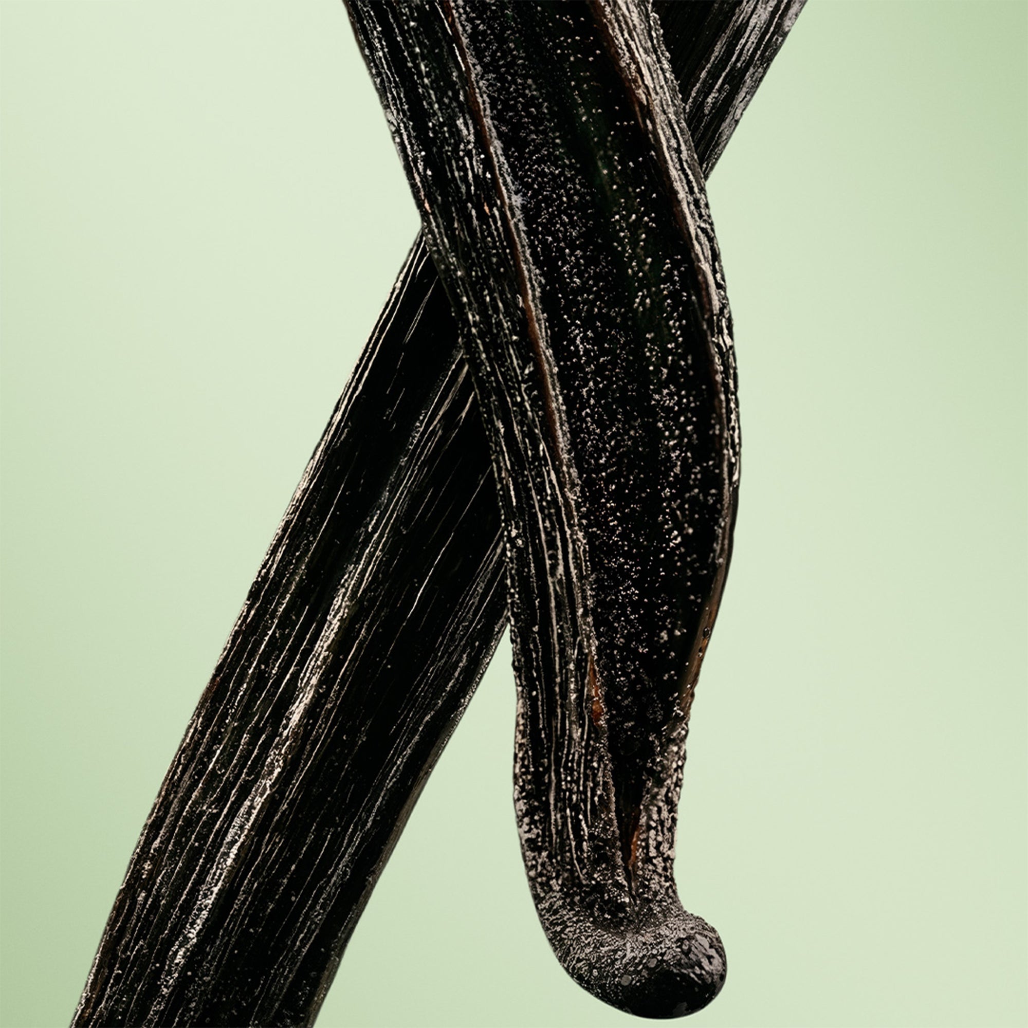 Paradigme Le Parfum