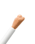Teint Idole Ultra Wear Care & Glow Serum Concealer