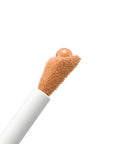 Teint Idole Ultra Wear Care & Glow Serum Concealer