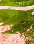 Idôle Eau de Toilette