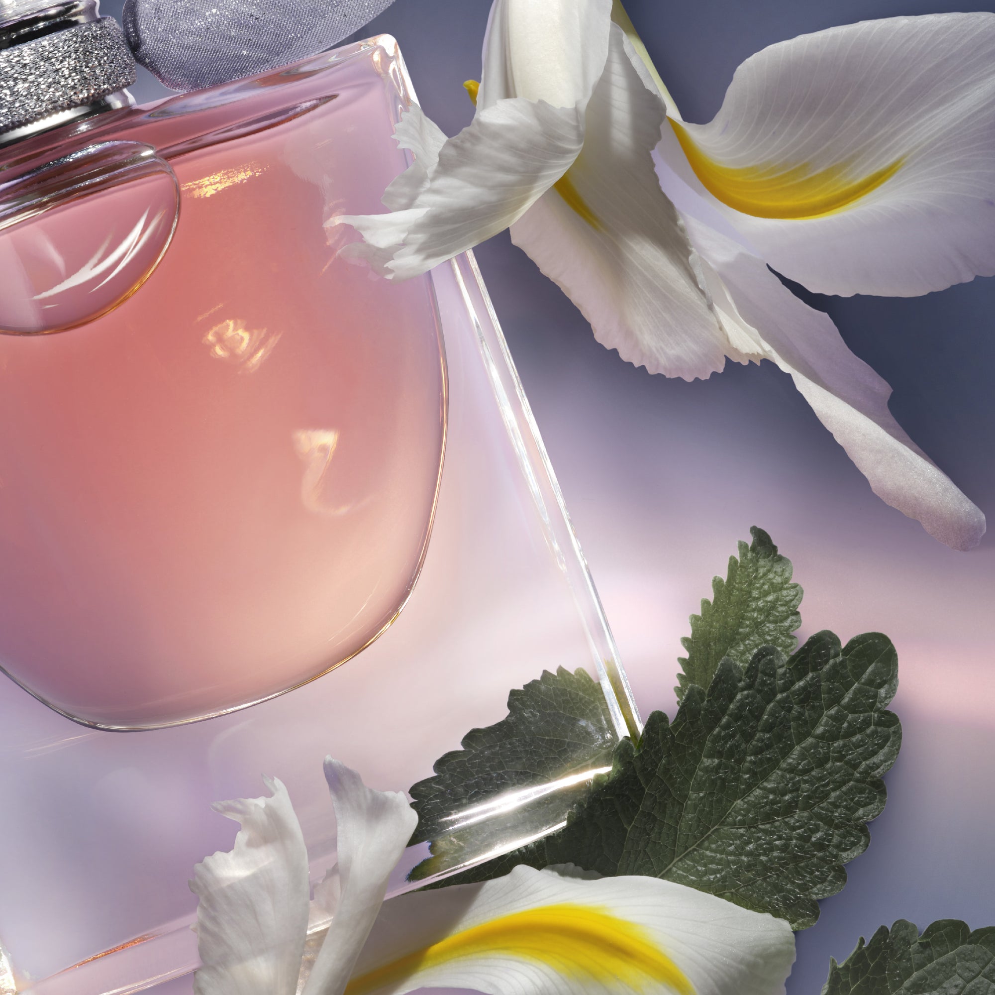 La Vie est Belle Eau de Parfum