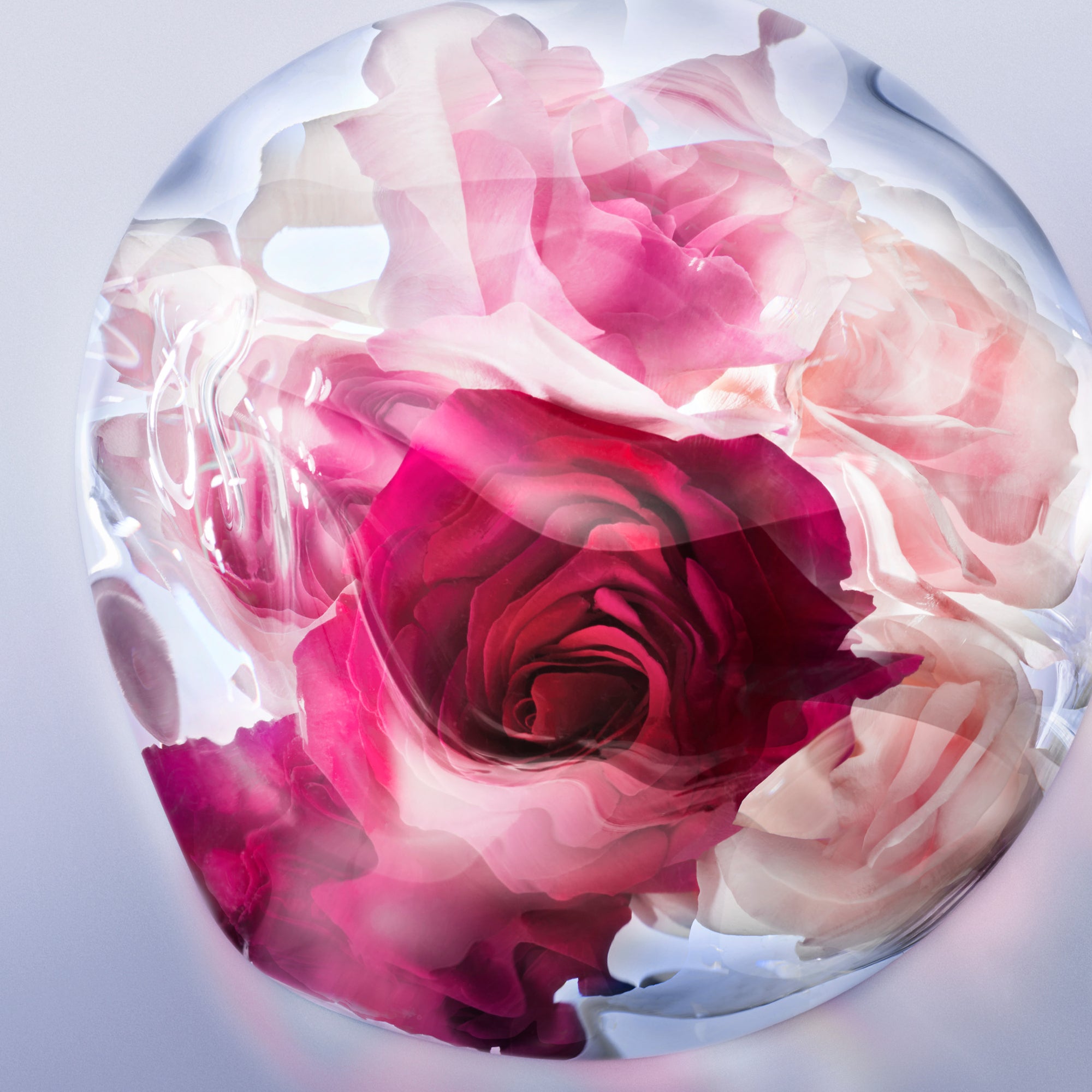 La Vie Est Belle Rose Extraordinaire EDP