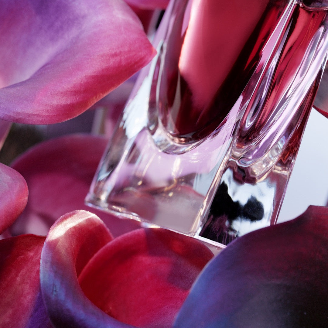 La vie est belle L&#39;Elixir