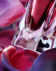 La vie est belle L'Elixir