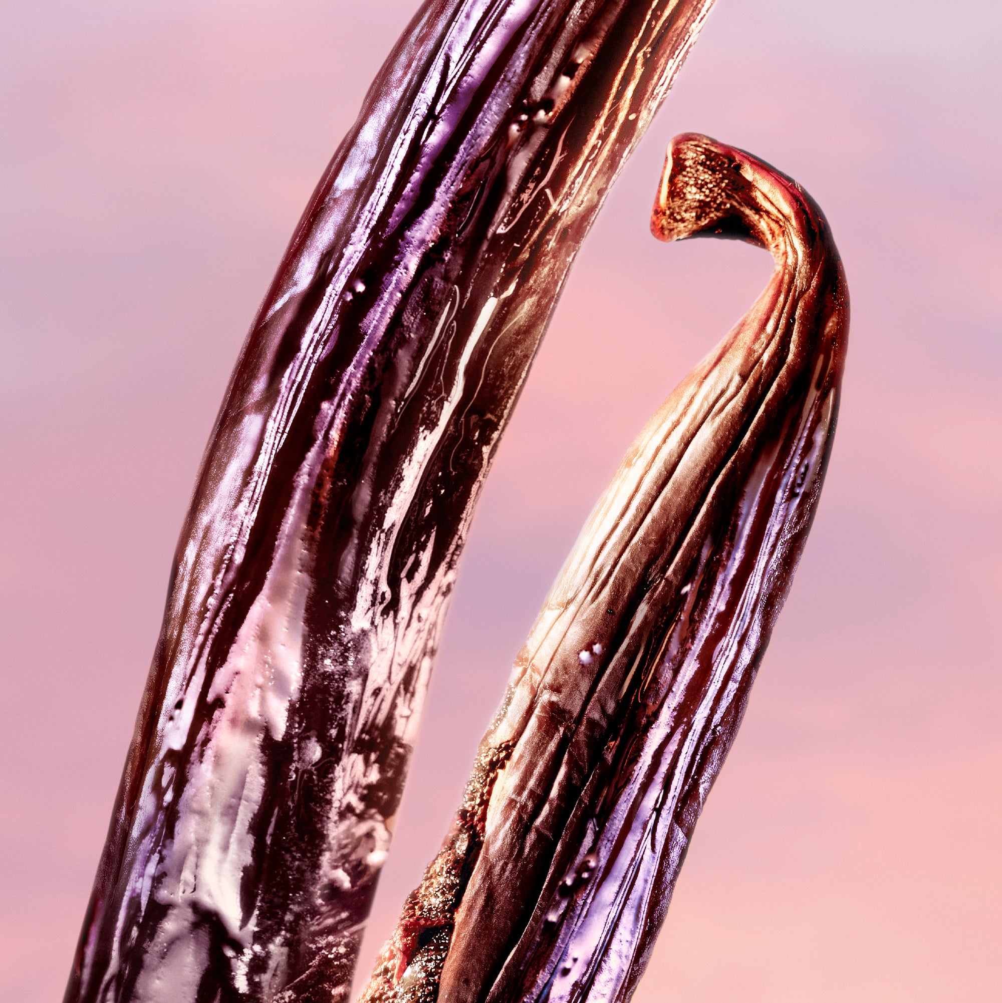 La Vie Est Belle Vanille Nude EDP