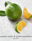 Acqua di Giò Eau de Parfum