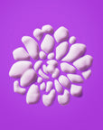 Prejuvenation Firming Bakuchiol Serum