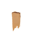 Shiseido Synchro Skin Gelstick Concealer