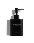 Hand Wash 300ml