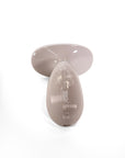 Stylpro LED Face & Body Smoother