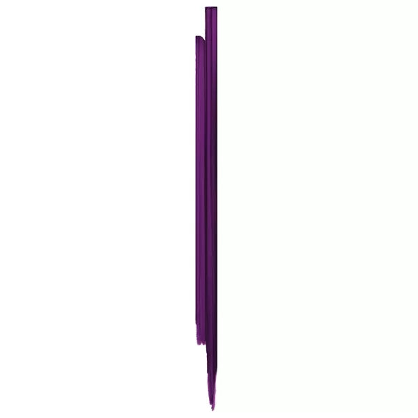 Shiseido Kajal InkArtist