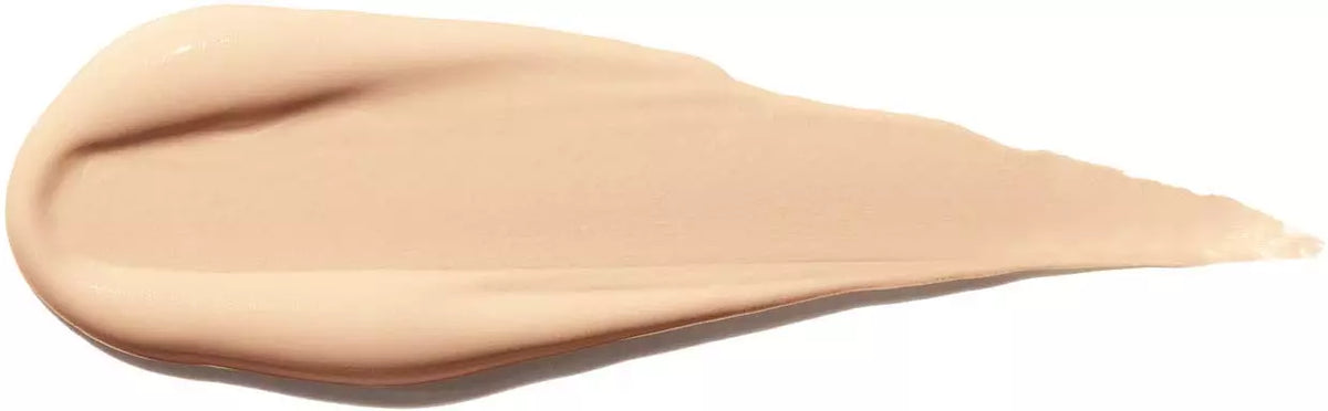 Shiseido Dual Tip Concealer